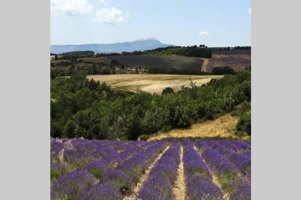 Chambre D Hotes Dans Le Vaucluse Mazan